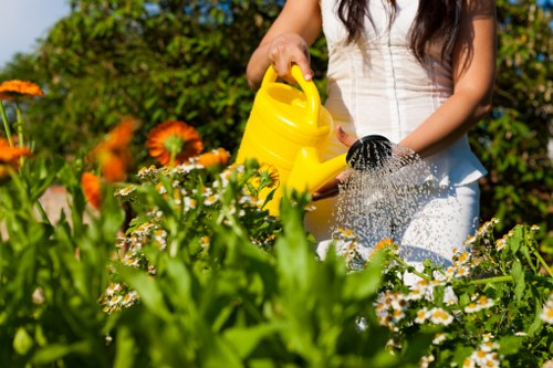 Professional gardener tending to a well-maintained Mill Hill garden